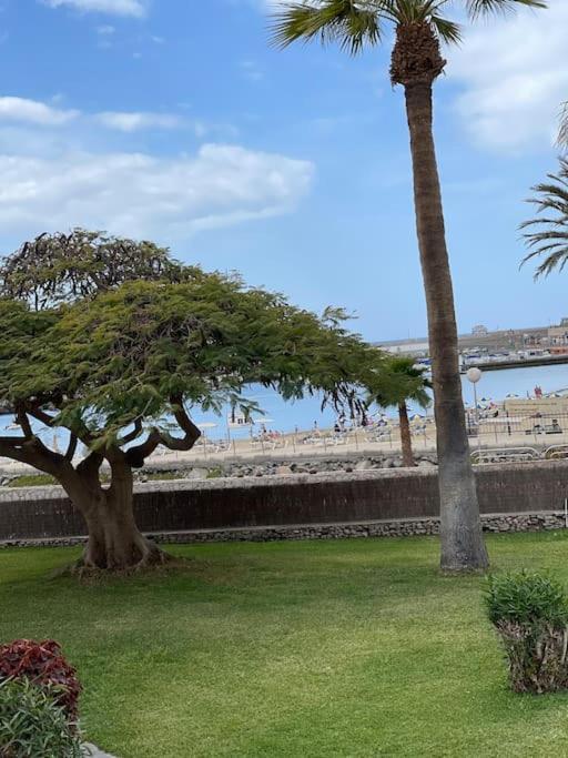 Apartamento Puerto Rico - Primera Linea De Playa โมกัน ภายนอก รูปภาพ